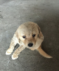 ��ë��C�ܡ�