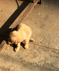 ��ë��C�ܡ�