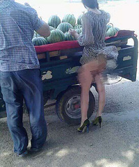 ���������¶������