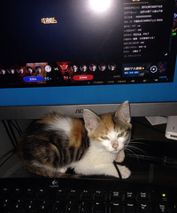 ���۾���������