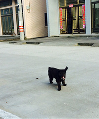 #�ȳ����#66�������