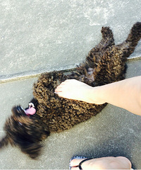 #�ȳ����#66�������