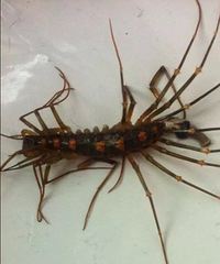 ����!ϴ�ּ�������Ȼ����ô����!