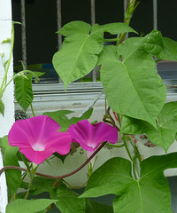 ��ס����ǣţ������ô����