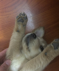 �����ֱ����Ǹ����³���