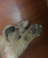 �����ֱ����Ǹ����³���