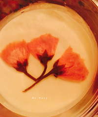 ���ڵȵ���