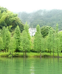 �벻������������