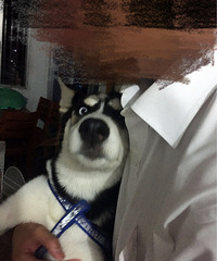 ת���Լ�����4�����µĹ�ʿ��