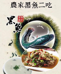 【免费试吃】犇峰烧烤+衢州菜,黑鱼两吃约约约