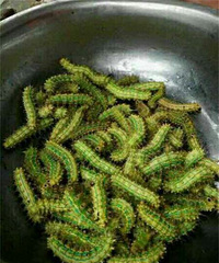 ��ۿɰ������˵���Ƥ������ȻҲ���Ա��쳯������������