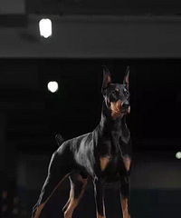 �ű� ˭������