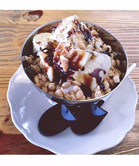 �Ի�����֤ �а�С��ϵ��֮Elephant Cafe