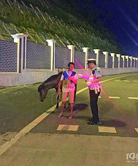 ����ð���ڸ���·���������� �񾯽����ͻؼ�