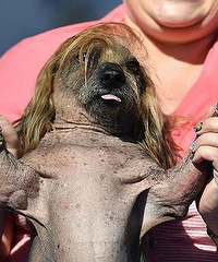 ���������Ĺ�����¯�ˣ�����������˻�9ǧԪ��