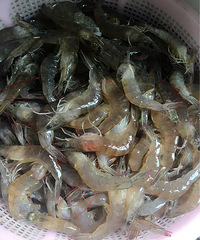 ����Ϻ�� �е㲻ͬ