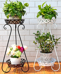 �������н���˵˵����ϲ��ʲôֲ�