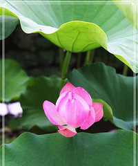 �ɻ���Լ������ɣ�ÿ���������ԼһԼ����