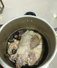 ���ˣ���ֻ��Ѽ����