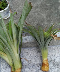 ������ѧ���ֲ��ܣ��벻������ˮ����Ļ�����