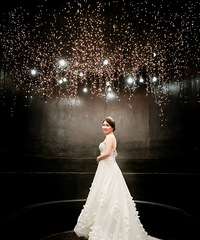 ��2016����Ҿ������ռǣ��������£���+���ǡ���·��