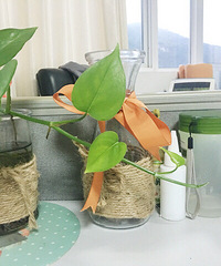 ��ô���ȣ�