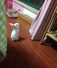 �ҵ�����Ȧ