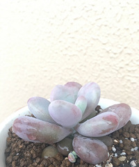 ����¶��֮�ر����ܣ���ˮ