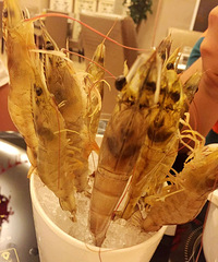 �Ի�̽�� ��ԭҼ�� ���or��Ϻ��