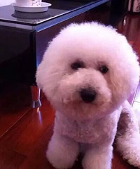 ��Ƹ��������ʦ������ϴ�蹤������ϴ��ѧͽ