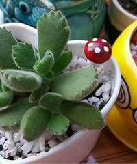 �ļ���ζ��