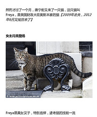 ��ֻè�Ѿ��ڹ������6���� ��һ���Ǿ�ѡ����