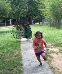 һ��СŮ���ڶ���԰����ȸ׷���� ����ͻȻ��ɡ���