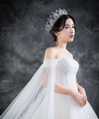 ������ʽɴ