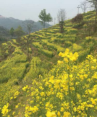 ��ϲ���Ͳ˻�