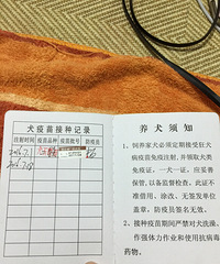 ���������ô����