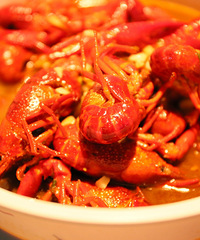 ����Ϻ�С�THE FLASH������Ҫ̫��Ŷ