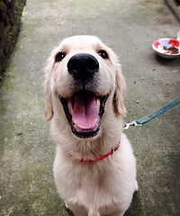 �����죬����һ��������