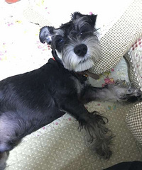 ������С��飬��ĩһ��ȥ��԰