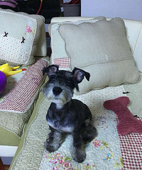 ������С��飬��ĩһ��ȥ��԰