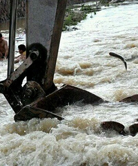 ˮ�����������ӳ� �㽭�������ھ�����ʲ���