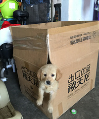 ��������Ҫ������С�㣬�������������죬��