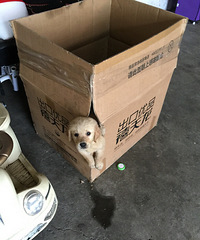 ��������Ҫ������С�㣬�������������죬��