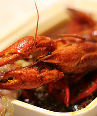 ����Ϻ�ԳԷ��� �óԵ�ͣ���˵�С��Ϻ