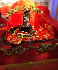 ����һ���бƸ�ĳ����