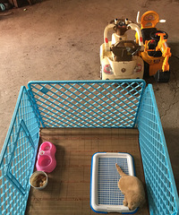 ��������ʲô�����һ��ǳ����ӵ��ˡ�����