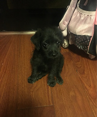 �ܿɰ���С�ڹ���45�죬�ܻ��ã�������