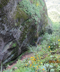 ̾Σ��أ�����ǽ�������