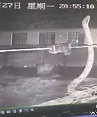 ��������զ�Ρ�����վ�����ˣ�