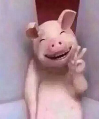 ������һ�����ֵ�����